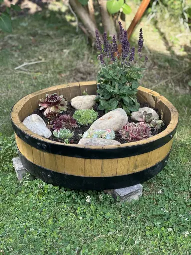 Pflanzschale Pflanzschale